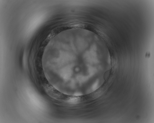 X0000111210189200907151446