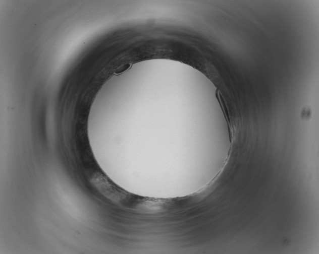 X0000111210190200907151446