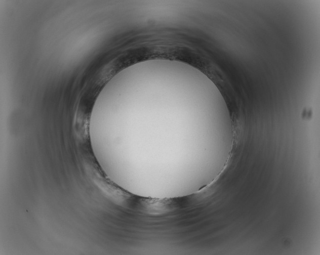 X0000111210191200907151446