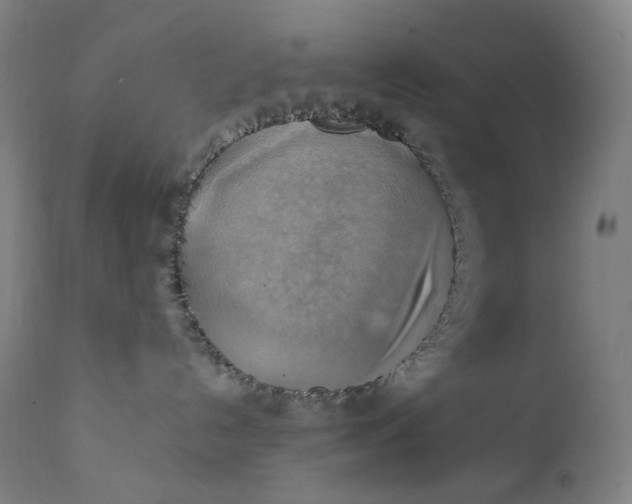 X0000111210192200907151446