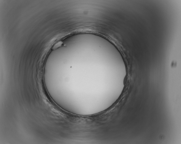 X0000111210193200907151445