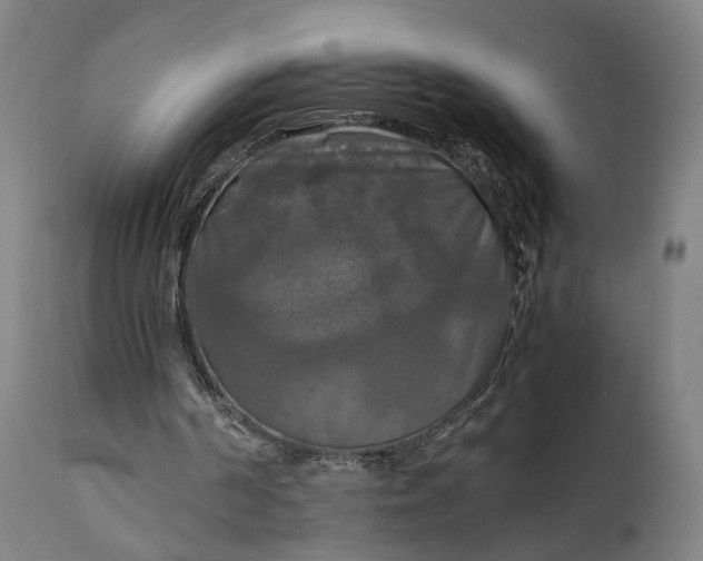 X0000111210194200907151445