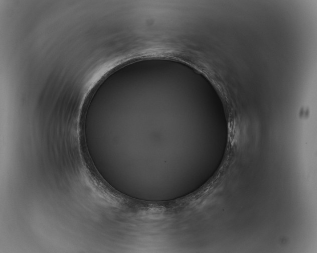 X0000111210196200907151445