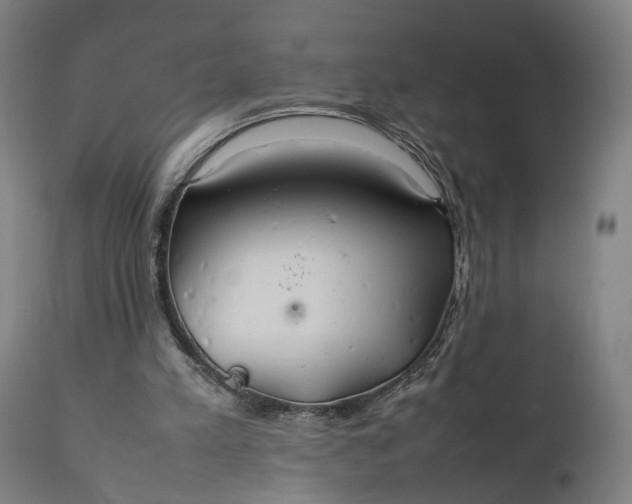 X0000111210197200907151445