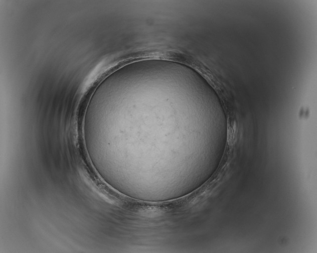 X0000111210198200907151445