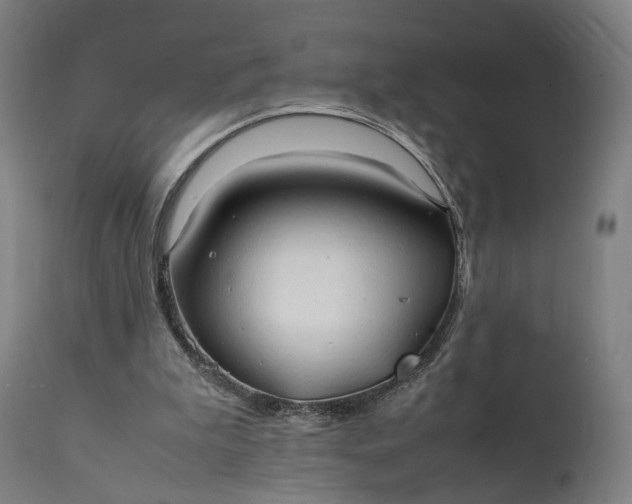 X0000111210199200907151445