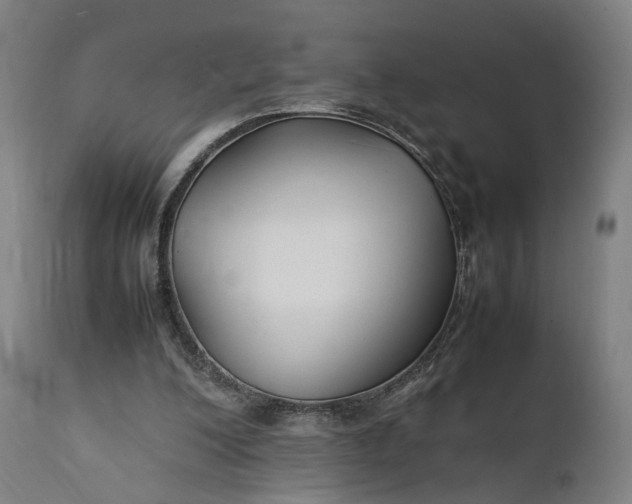 X0000111210200200907151445