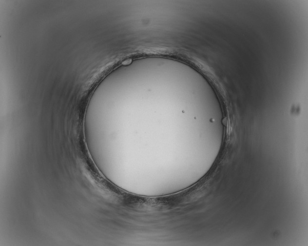 X0000111210201200907151445