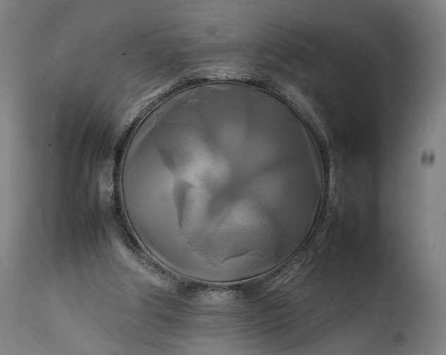 X0000111210202200907151445