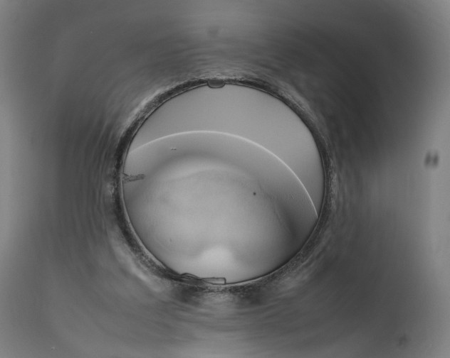 X0000111210203200907151445