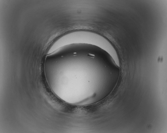 X0000111210207200907151445