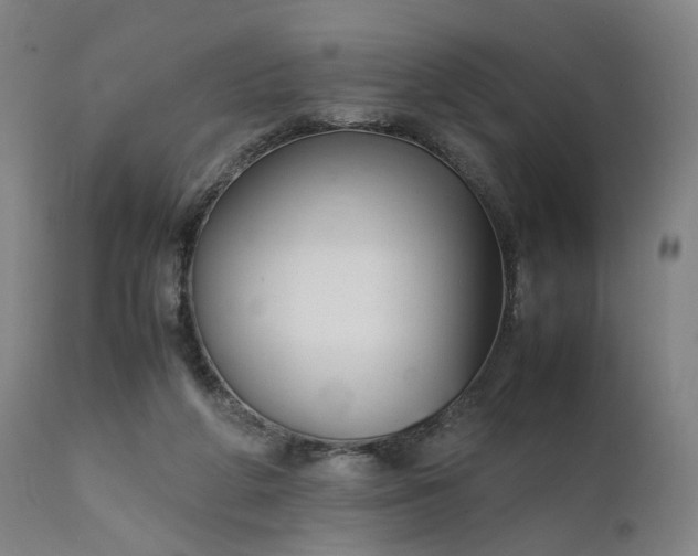 X0000111210210200907151445