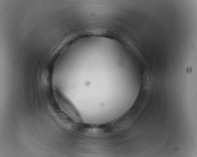 X0000111210212200907151445