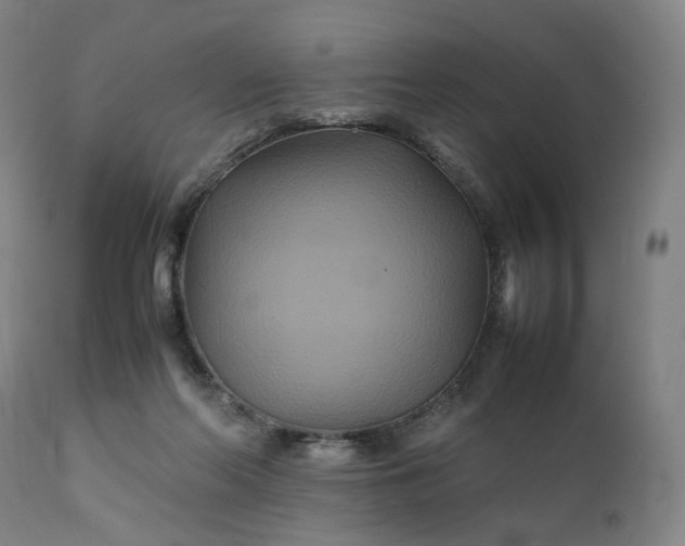 X0000111210214200907151445