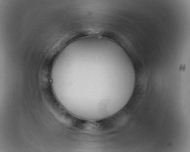 X0000111210215200907151445