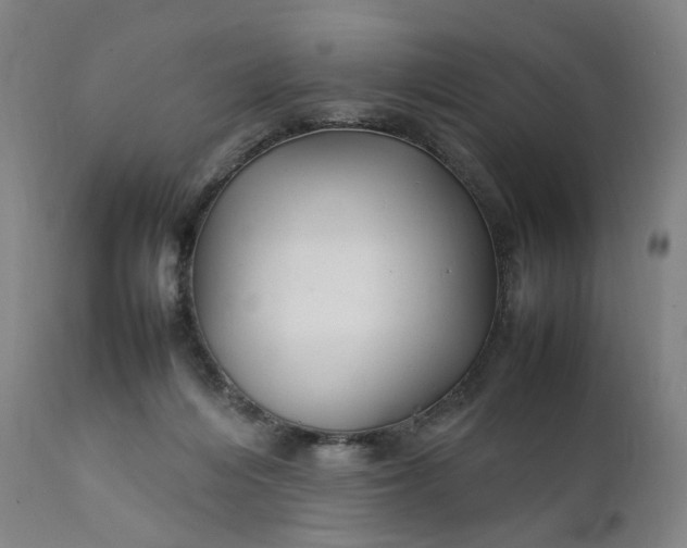 X0000111210216200907151445