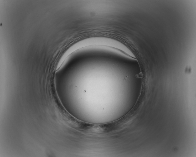 X0000111210217200907151445