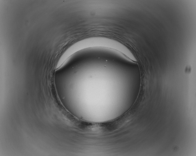 X0000111210219200907151445