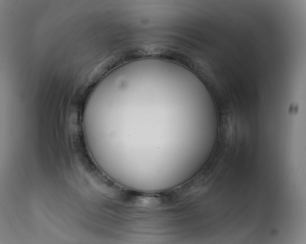 X0000111210220200907151445