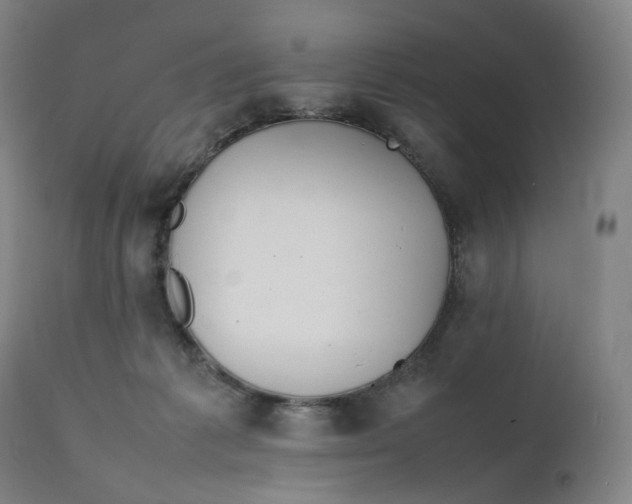 X0000111210221200907151445