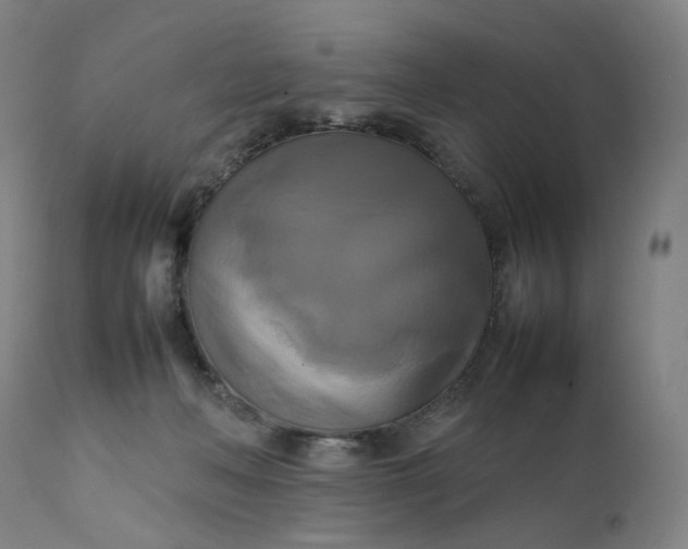 X0000111210222200907151445