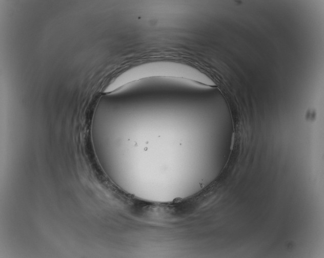 X0000111210223200907151445