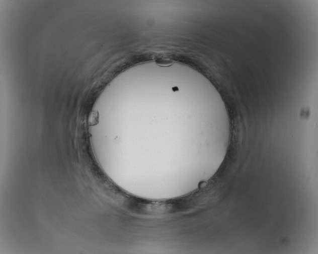 X0000111210225200907151444