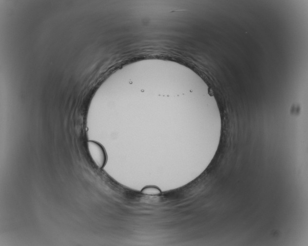 X0000111210227200907151444