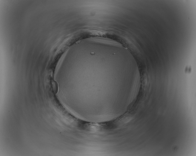 X0000111210229200907151444