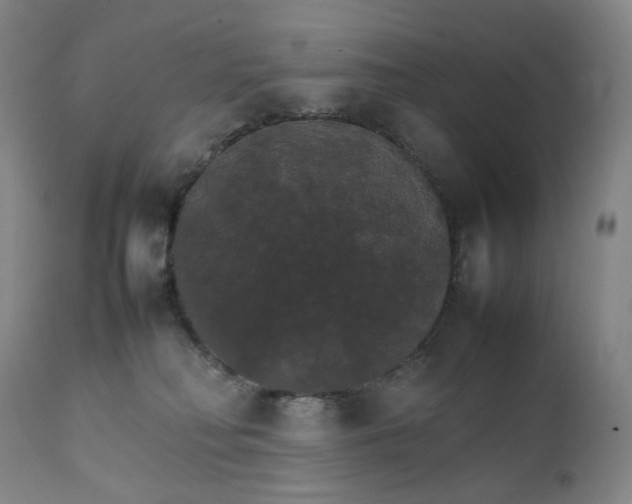 X0000111210230200907151444