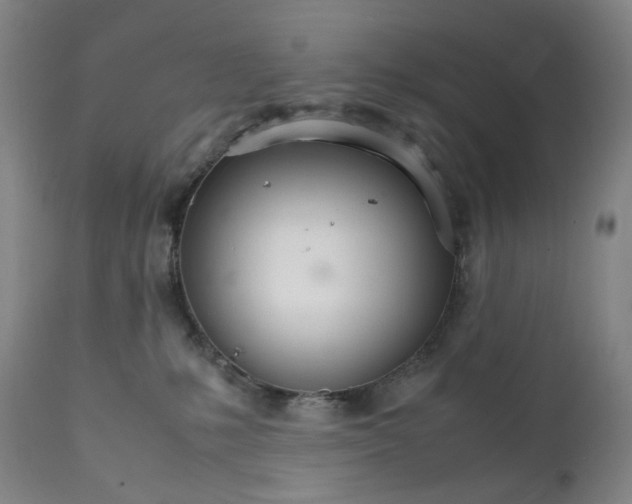 X0000111210231200907151444