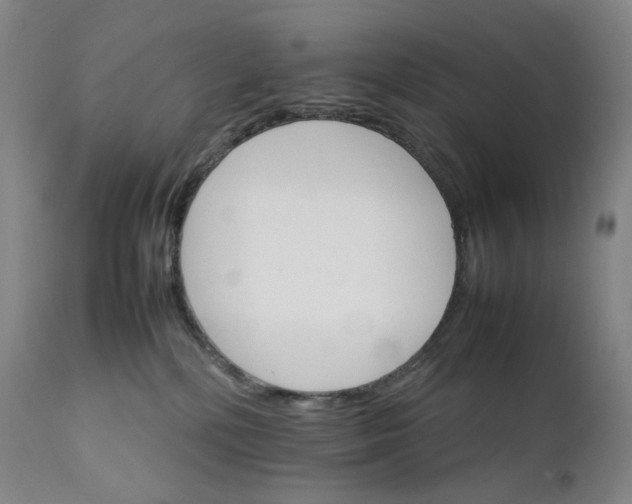 X0000111210232200907151444