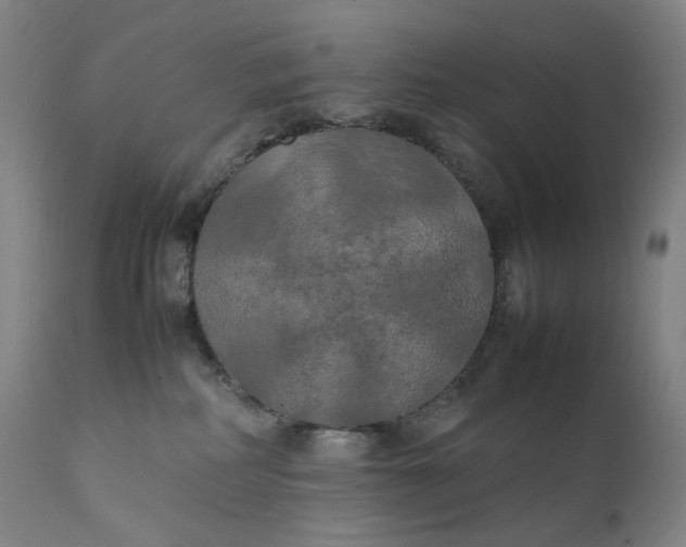 X0000111210234200907151444