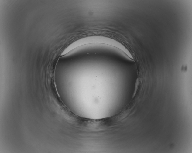 X0000111210235200907151444