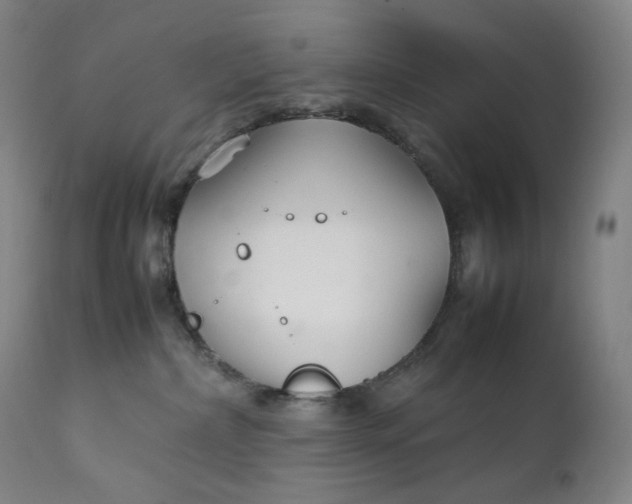 X0000111210236200907151444