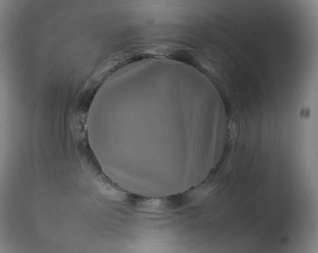 X0000111210237200907151444