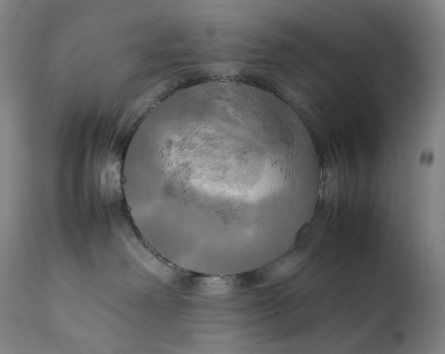 X0000111210238200907151444