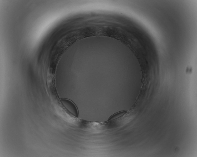 X0000111210239200907151444