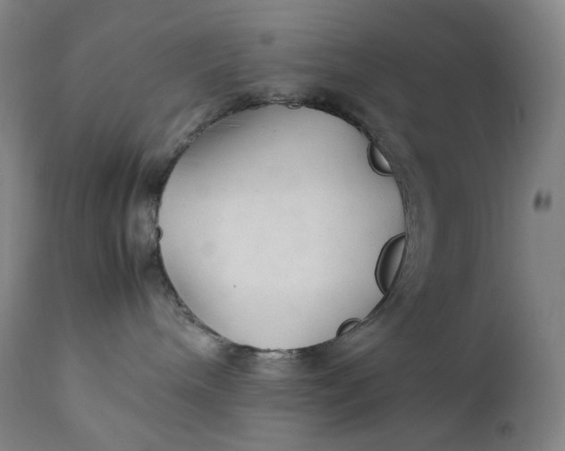 X0000111210240200907151444