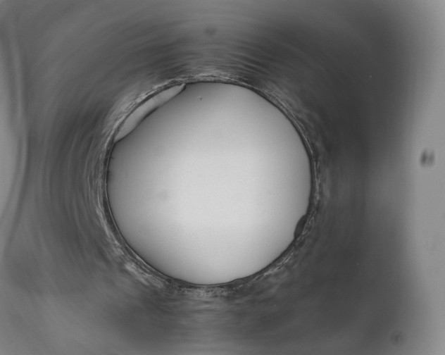 X0000111210241200907151443