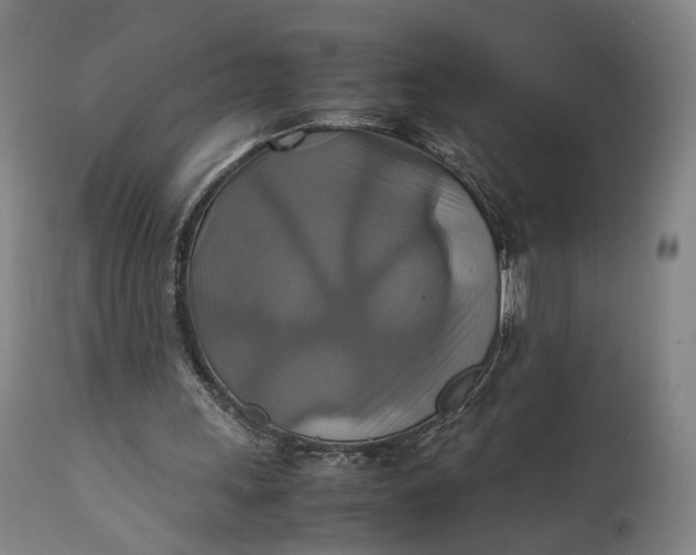 X0000111210243200907151443