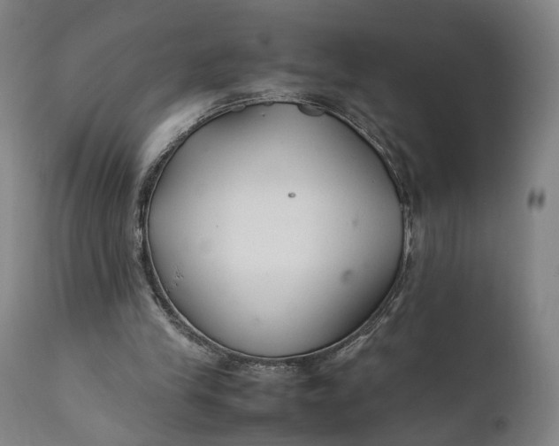 X0000111210245200907151444