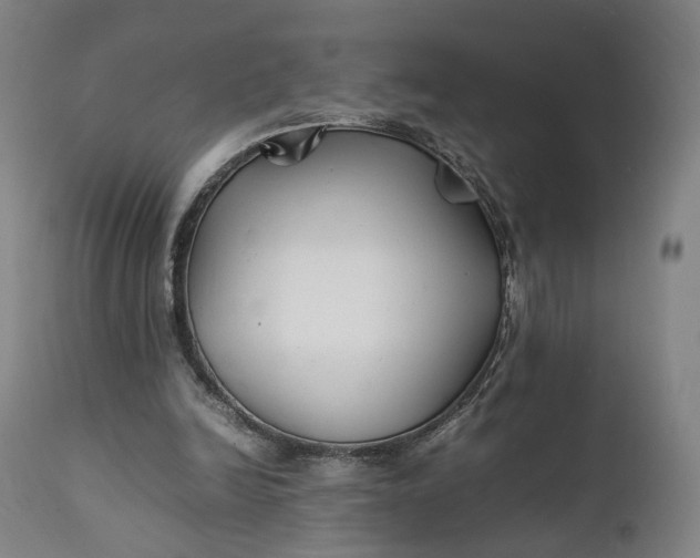 X0000111210246200907151444