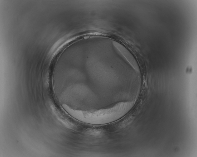 X0000111210247200907151444