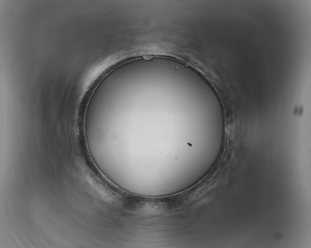 X0000111210248200907151444