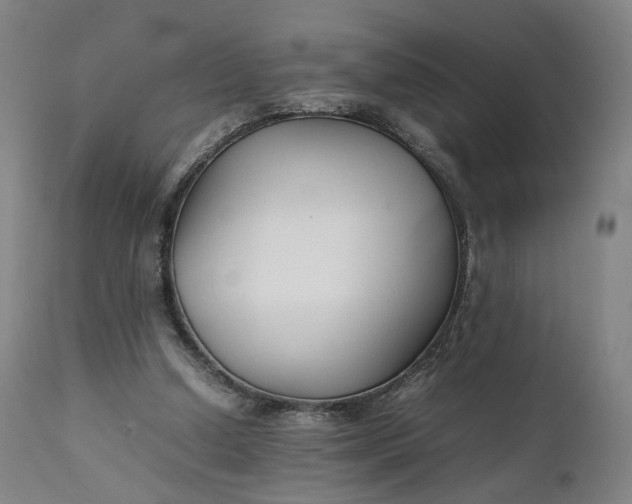 X0000111210250200907151444