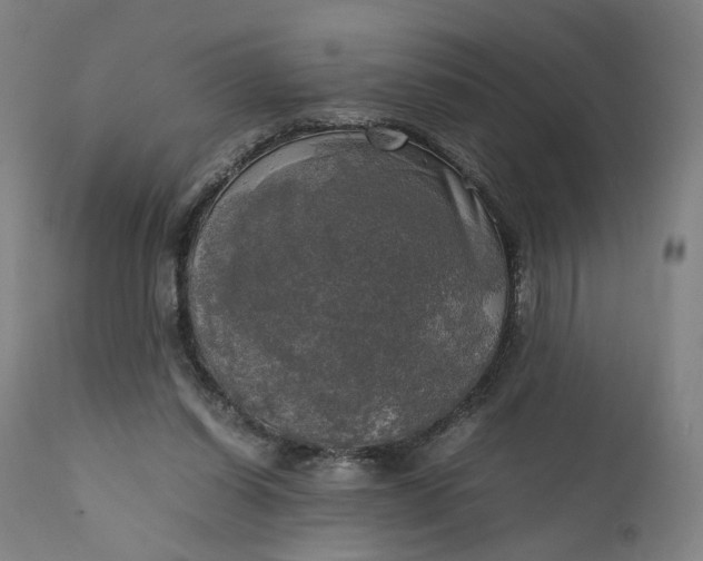 X0000111210254200907151444