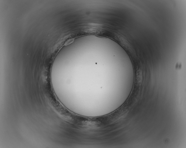 X0000111210255200907151444