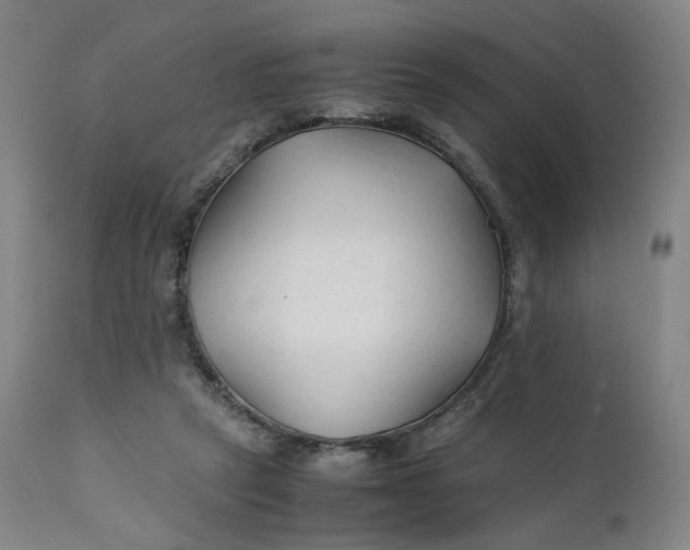 X0000111210257200907151444