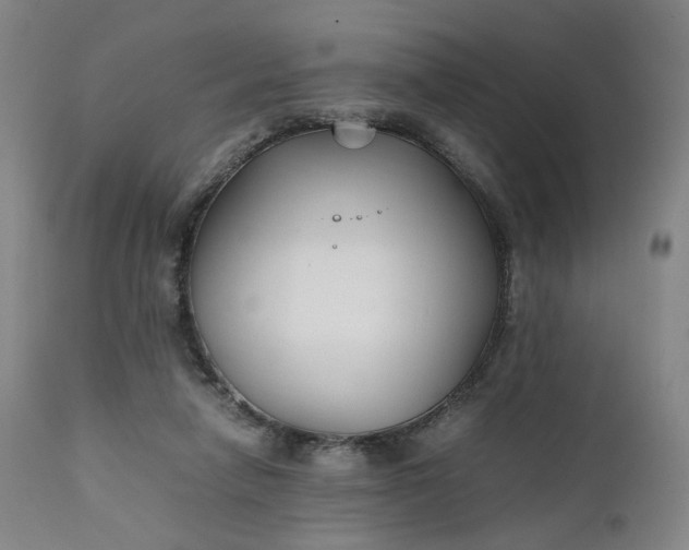 X0000111210258200907151444